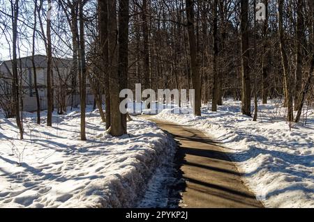 Asphaltpfad im Winter Park, Moskau Stockfoto