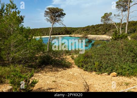 Cala Mondrago ist ein abgeschiedener Resort-Strand auf Mallorca mit ruhigen Gewässern, die von umliegenden Landschaften geschützt sind Stockfoto