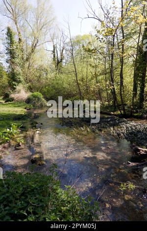 Ein wunderschöner Abschnitt des Flusses Dour, der durch den Kearsney Abbey Park fließt. Stockfoto