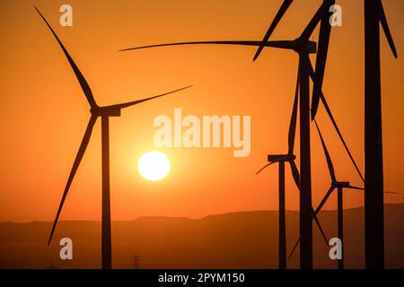 parque eólico en La Muela, Zaraoza, Aragón, Spanien, Europa Stockfoto