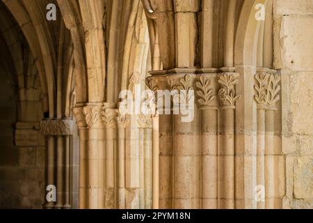 Monasterio de Santa María la Real de Iranzu, claustro, siglo XII - XIV, camino de Santiago, Abárzuza, Navarra, Spanien, Europa Stockfoto