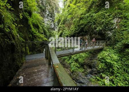 Garganta de Kakueta, Sainte-Engrâce, región de Aquitania, departamento de Pirineos Atlánticos, Francia Stockfoto