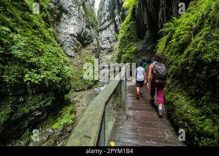 Garganta de Kakueta, Sainte-Engrâce, región de Aquitania, departamento de Pirineos Atlánticos, Francia Stockfoto