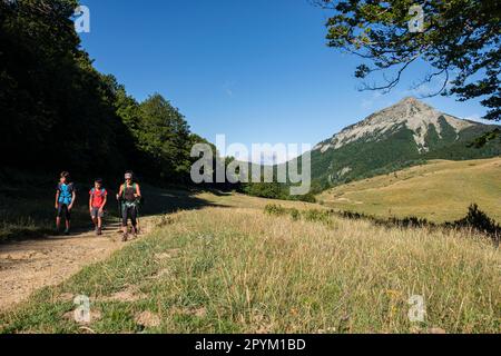 ruta de las Golondrinas, barranco de Petrechema, pirineos occidentales, , Huesca, Aragón, Spanien, Europa Stockfoto