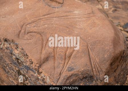 petroglyphe eines Onyx, Höhlenanlage von Ait Ouazik, spätneolithisch, Marokko, Afrika Stockfoto