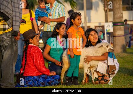 Eine Provinzfamilie mit ihren Schafen, die einen Tag im Park genießen. Stockfoto