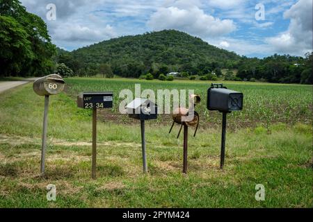 Postfächer auf dem Land, Cape Hillsborough, Queensland, Australien Stockfoto