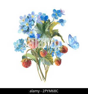 Aquarell-Illustration, Strauß von Wildblumen und Erdbeeren mit einem Schmetterling, Vergessenheit und Erdbeeren isoliert auf weißem Hintergrund Stockfoto