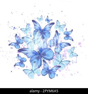 Aquarelle mit zarten Schmetterlingen sind blau und fliegen im Kreis mit Spritzwasser. Zum Design und Dekorieren von Rahmen, Bannern Stockfoto