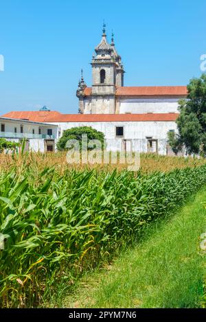 St. Martin von Tibaes Kloster, Corn Field, Braga, Minho, Portugal Stockfoto