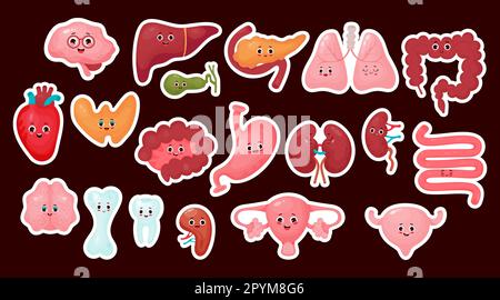 Große Sammlung Aufkleber niedliche menschliche Cartoon-Organe. Isolierter Vektor flach lustige Zeichentrickfiguren Illustrationen Design. Anatomiekonzept Stock Vektor