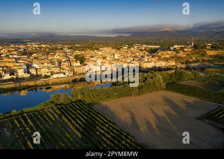 Luftaufnahme der Stadt Móra d'Ebre und des Flusses Ebro bei Sonnenaufgang im Sommer (Ribera d'Ebre, Tarragona, Katalonien, Spanien) Stockfoto