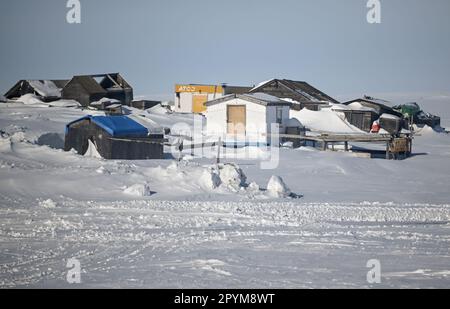 Tuktoyaktuk, Kanada. 27. April 2023. Wohnungen in Tuktoyaktuk in der Arktis. Kredit: Britta Pedersen/dpa/Alamy Live News Stockfoto