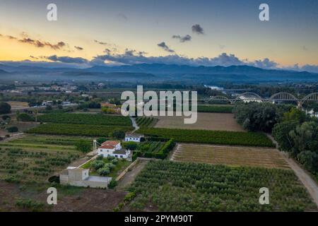 Blick aus der Vogelperspektive auf die Felder und die ländliche Umgebung in der Nähe der Móra d'Ebre und des Flusses Ebro bei Sonnenaufgang im Sommer (Ribera d'Ebre, Tarragona, Katalonien, Spanien) Stockfoto