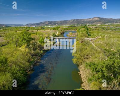 Luftaufnahme des Zusammenflusses zwischen den Flüssen Segre, Cinca und Ebro im Frühjahr (Segrià, Lleida, Katalonien, Spanien) Stockfoto