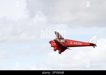 De Havilland DH90 Dragonfly bei Shoreham airshow Stockfoto