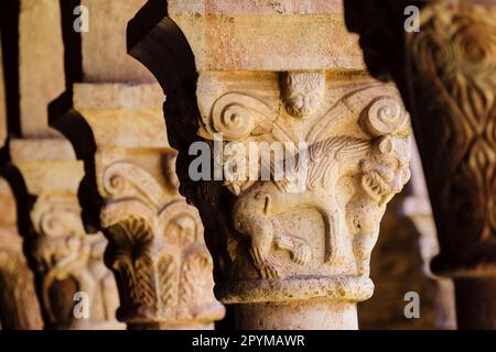 columnas y capiteles,claustro del siglo XII, monasterio benedictino de Sant Miquel de Cuixa , año 879, pirineos orientales,Francia, europa Stockfoto