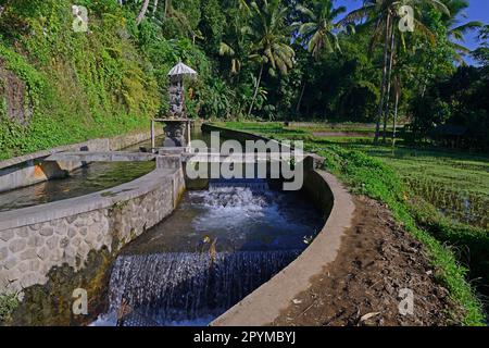 Bewässerungskanal für Reisterrassen, im Frühlingstempel Pura Gunung Kawi, Bali, Indonesien Stockfoto