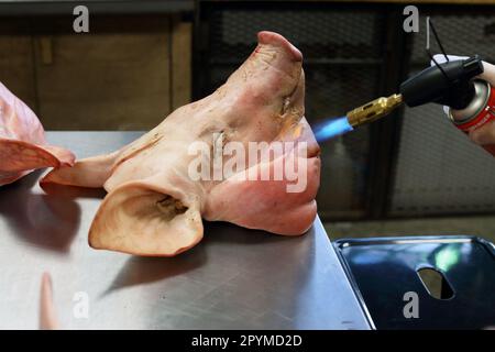 Ich verbrenne grobe Schweinehaare beim Schwein in einem eintägigen Metzgerkurs Stockfoto