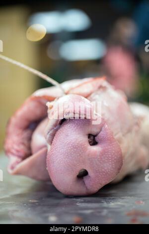 Nahaufnahme einer Schweinenase. Schwein an einem Tag, eintägiger Metzgerkurs Stockfoto