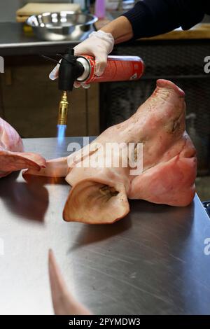 Ich verbrenne grobe Schweinehaare beim Schwein in einem eintägigen Metzgerkurs Stockfoto