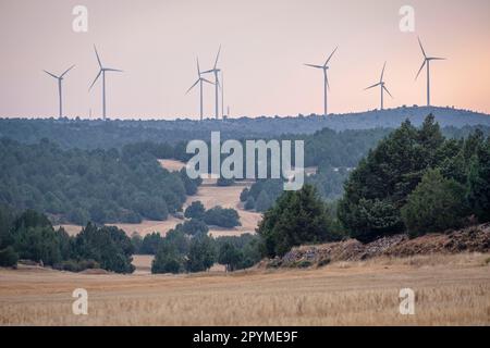 Sierra Solorio, Soria, comunidad autónoma de Castilla y León, Spanien, Europa Stockfoto