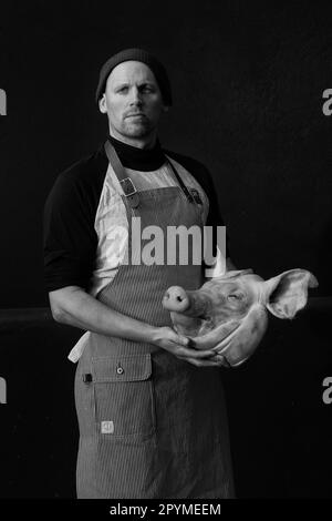 Metzger mit Schweinekopf, schwarzer Hintergrund. Schwein in einem Tag, eintägiger Schlachtkurs Stockfoto