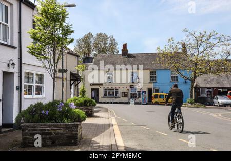 Ein Einzelradfahrer auf der Parade in Millbrook in Richtung der kleinen Geschäfte am West Quay. Blumenbeet im Vordergrund mit Blauglocken und neuen Blättern o Stockfoto