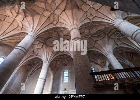 colegiata de Santa María del Mercado, Gótico-renacentista, construída entre 1526-1530, por el arquitecto Juan de Raines, Berlanga de Duero, Soria, c Stockfoto