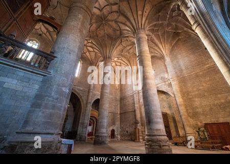 colegiata de Santa María del Mercado, Gótico-renacentista, construída entre 1526-1530, por el arquitecto Juan de Raines, Berlanga de Duero, Soria, c Stockfoto