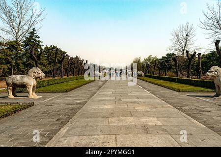 Zwei stehende chinesische mythische Einhörner Xiezhi stehen einander gegenüber auf der heiligen Straße, einer gut gepflegten Straße, die zu den Ming-Gräbern führt Stockfoto