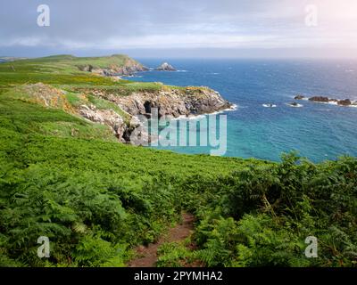 Großartige Landschaft auf der Insel Saltee in Wexford, Irland Stockfoto