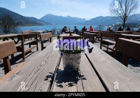 Gmund, Deutschland. 04. Mai 2023. Bei schönem Wetter sitzen die Ausflugsreisenden im Biergarten am Tegernsee. Kredit: Sven Hoppe/dpa/Alamy Live News Stockfoto