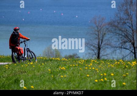 Gmund, Deutschland. 04. Mai 2023. Eine Frau steht mit ihrem Fahrrad in der Sonne auf einer Wiese am Tegernsee. Kredit: Sven Hoppe/dpa/Alamy Live News Stockfoto