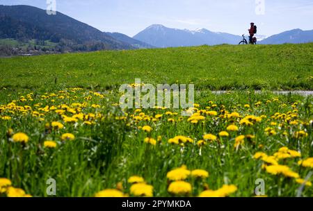 Gmund, Deutschland. 04. Mai 2023. Eine Frau steht mit ihrem Fahrrad in der Sonne auf einer Wiese am Tegernsee. Kredit: Sven Hoppe/dpa/Alamy Live News Stockfoto