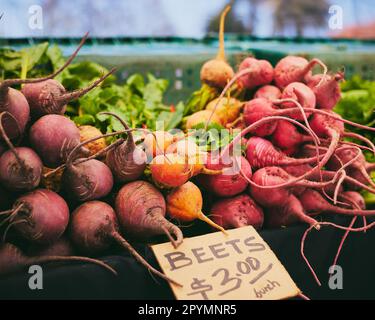 Eine Auswahl an frisch gepflückten Rüben und Rettich auf einem Bauernmarkt Stockfoto