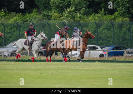 Die Polospieler auf dem Pferderücken werden auf einem Spielfeld in einer malerischen Parklandschaft gesehen. Stockfoto