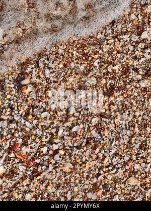 Eine Strandszene mit einer Mischung aus weißem Meerschaum und goldenem Sand, mit verschiedenen bunten Muscheln in der Nähe der Küste Stockfoto