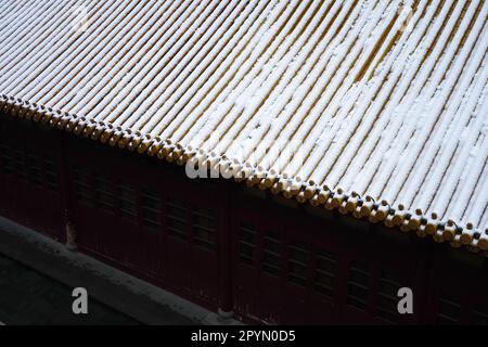 Nahaufnahme eines schneebedeckten Dachs mit darunter sichtbaren Dachziegeln Stockfoto