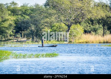 Afrikanischer Fischer schiebt sein Kanu mit einem großen Stock entlang des Chobe River in Namibia, Afrika. Stockfoto