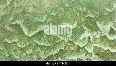 Luftblick auf den Meeresboden mit Korallenriffen. Türkisfarbene Lagunenoberfläche auf Atoll Kopierraum für Text. Siquijor, Philippinen. Stockfoto