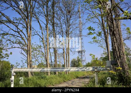 Unbefestigter Pfad mit einer Bar am Anfang und einem Funkmast im Hintergrund hinter Bäumen an einem sonnigen Tag in der italienischen Landschaft Stockfoto