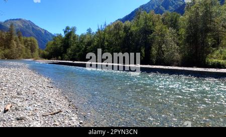 Winziger, klarer, kalter Fluss mit Kieselfelsen im Arkhyz Mountain Ridge - Foto der Natur Stockfoto