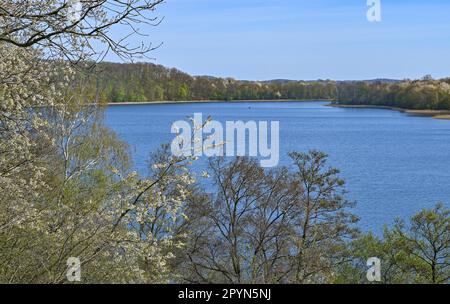 Carwitz, Deutschland. 01. Mai 2023. Der Frühling liegt am Hauptmannsberg mit Blick auf den Zansensee im Naturpark Feldberger Seenlandschaft. Riesige Wälder, Hügel, Täler, sandige Ebenen, beeindruckende Dünen im Landesinneren, Klare Seen und versteckte Moore, historische Gebäude, Kulturerbestätten und Museen – all dies findet man in diesem Naturpark. Diese vielfältige Landschaft wurde von der letzten Eiszeit geprägt. Kredit: Patrick Pleul/dpa/Alamy Live News Stockfoto