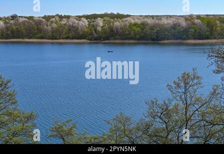 Carwitz, Deutschland. 01. Mai 2023. Der Frühling liegt am Hauptmannsberg mit Blick auf den Zansensee im Naturpark Feldberger Seenlandschaft. Riesige Wälder, Hügel, Täler, sandige Ebenen, beeindruckende Dünen im Landesinneren, Klare Seen und versteckte Moore, historische Gebäude, Kulturerbestätten und Museen – all dies findet man in diesem Naturpark. Diese vielfältige Landschaft wurde von der letzten Eiszeit geprägt. Kredit: Patrick Pleul/dpa/Alamy Live News Stockfoto