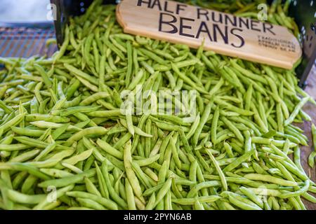 Nahaufnahme von einem Haufen gepflückter grüner Bohnen auf einem Tisch auf dem Darnell Farms Open Air Market. Stockfoto