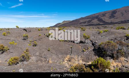 Der Vulkan Piton de la Fournaise auf La Reunion Stockfoto