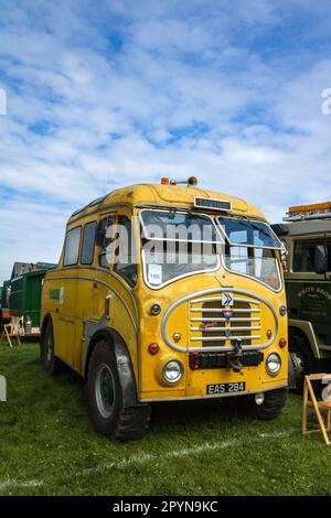 Abschleppwagen AEC Matador. Llandudno Transport Festival 2023. Stockfoto