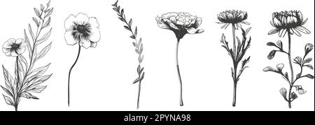 Einfache Grafikform, handgezogenes Hochzeitskraut und Einladung. Ein Set eleganter, einfacher Wildblumen in neutralen Schwarz-Weiß-Farben. Stock Vektor