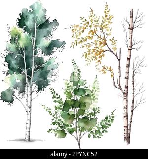 Aquarell Birkenbäume Russland Baum Designelement für Tapeten, Website Hintergrund Vektordarstellung. Stock Vektor